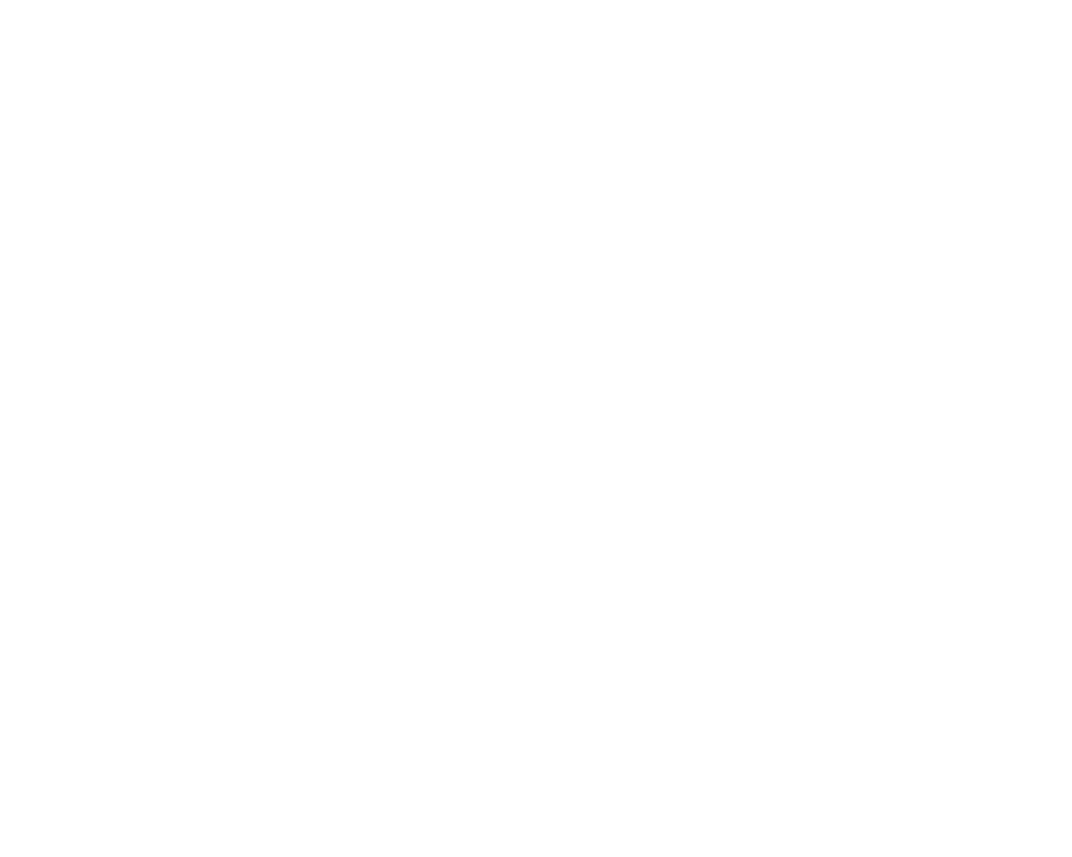 dr casey logo final WHITE